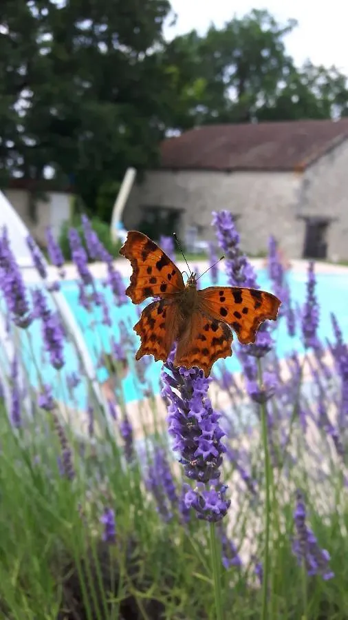 Holiday home Maison De Vacances Tissendie Bourg-de-Visa France